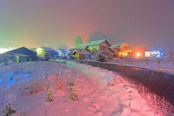 Bright Colored Night by Fuke