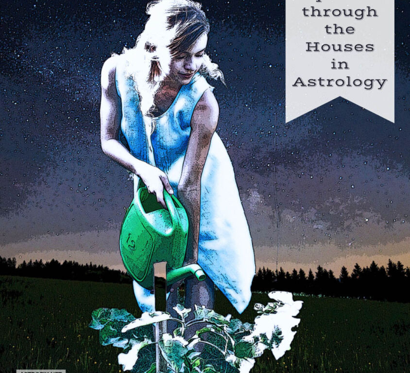 Aquarius through the Houses in Astrology ASTROFIX