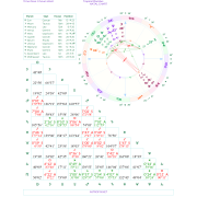 Solar Return Birthday Astrology Report