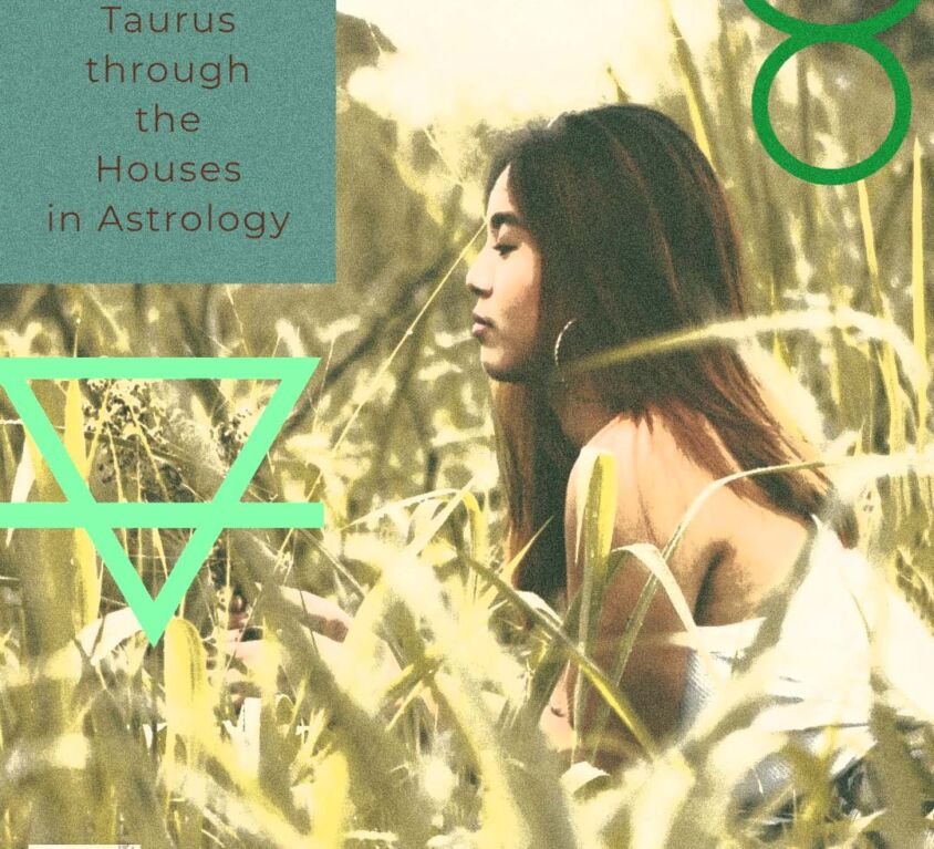 Taurus through the Houses in Astrology astrofix.net