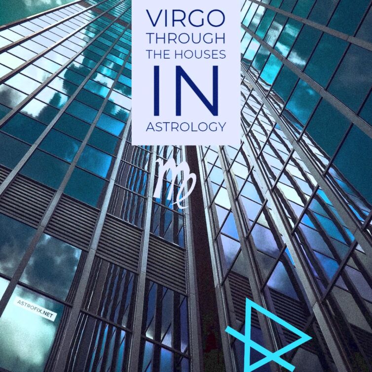 Virgo THROUGH THE HOUSES IN ASTROLOGY by astrofix.net