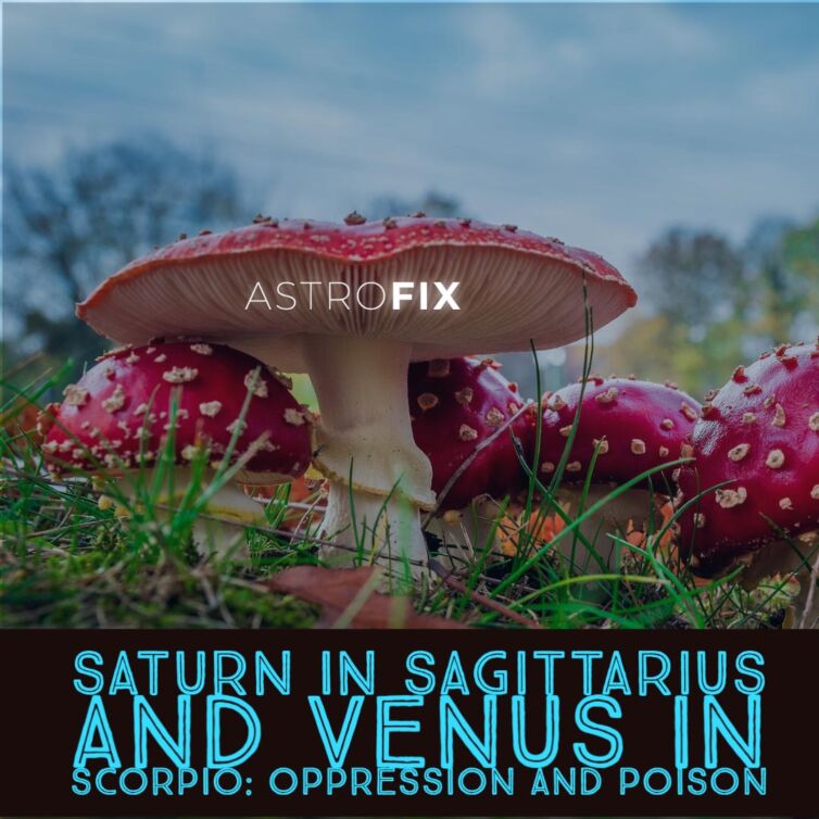 Saturn in Sagittarius and Venus in Scorpio_ Oppression and Poison AstroFix Astrology