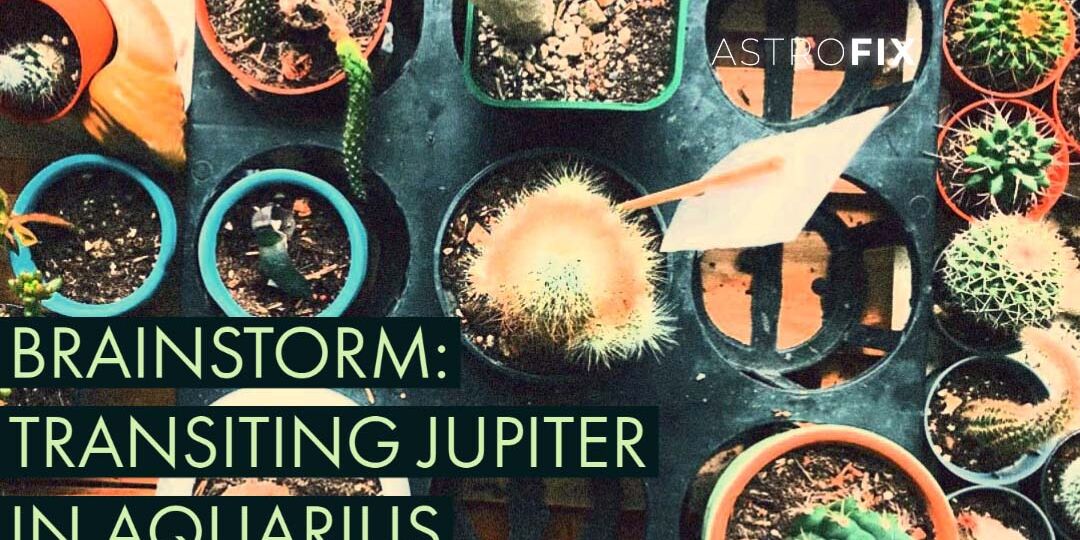 AstroFix Brainstorm Jupiter in Aquarius through the houses astrology
