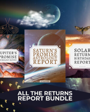 All the Returns Report Bundle